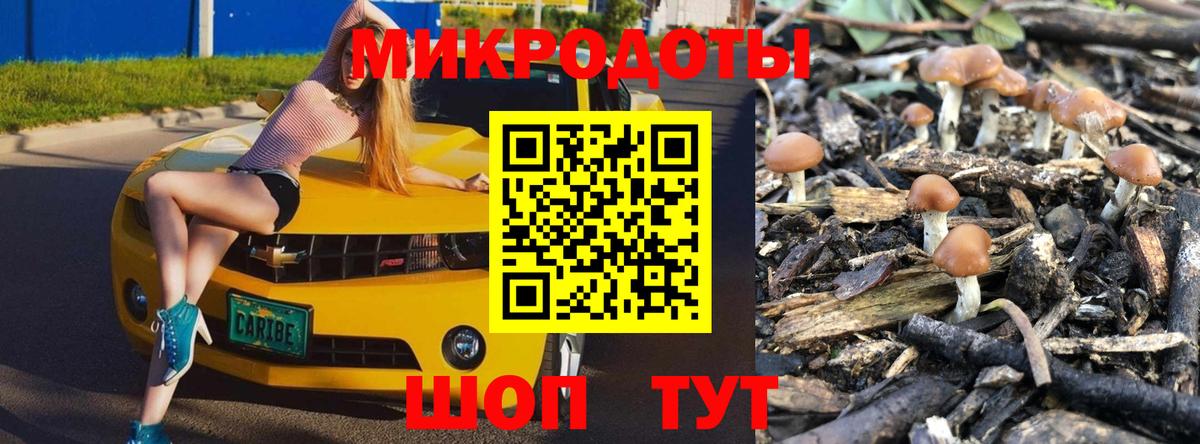 сколько стоит  Галлюциногенные грибы Cubensis  Вход с VPN  Орехово-Зуево 